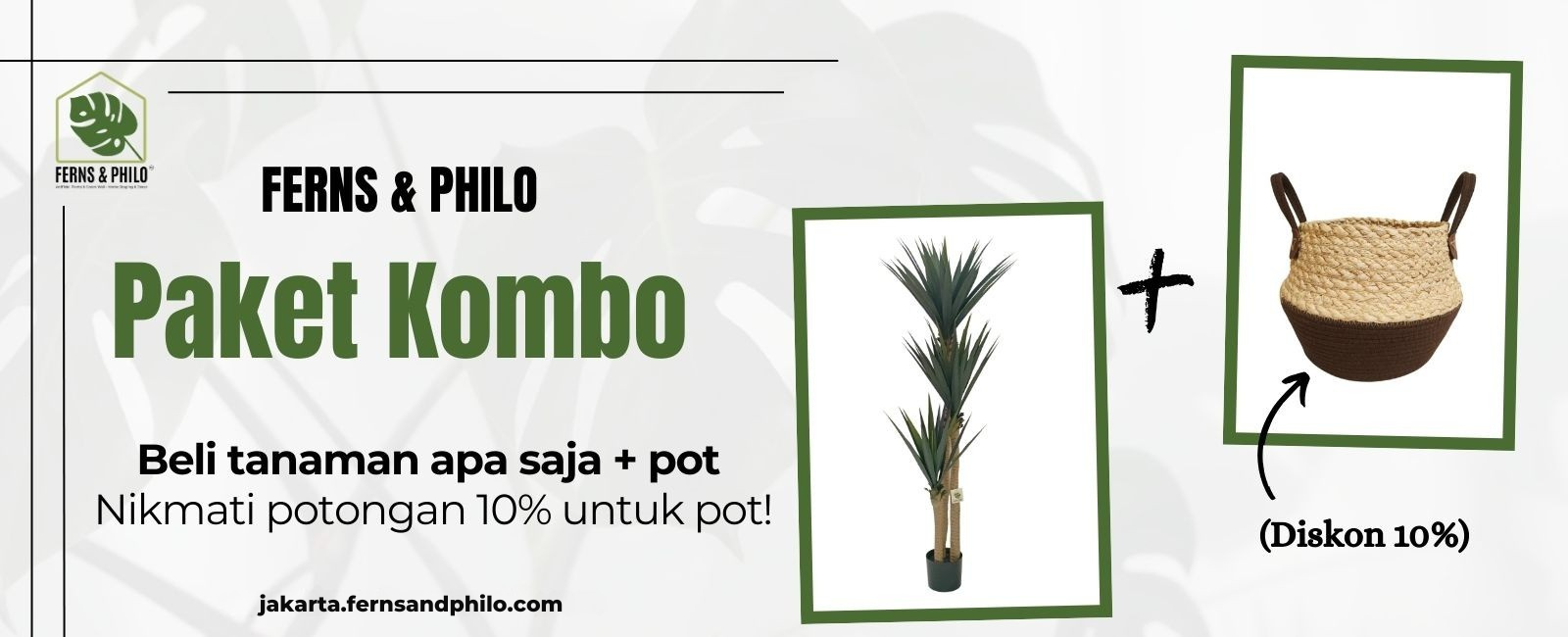 Buy any Plant + Pot  Enjoy 10% OFF the Pot!