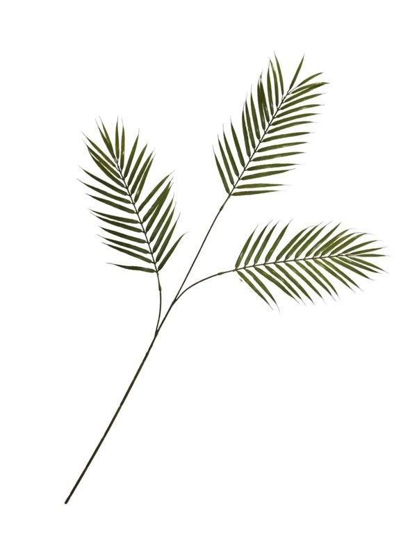 Palm (Stalk) -  Faux