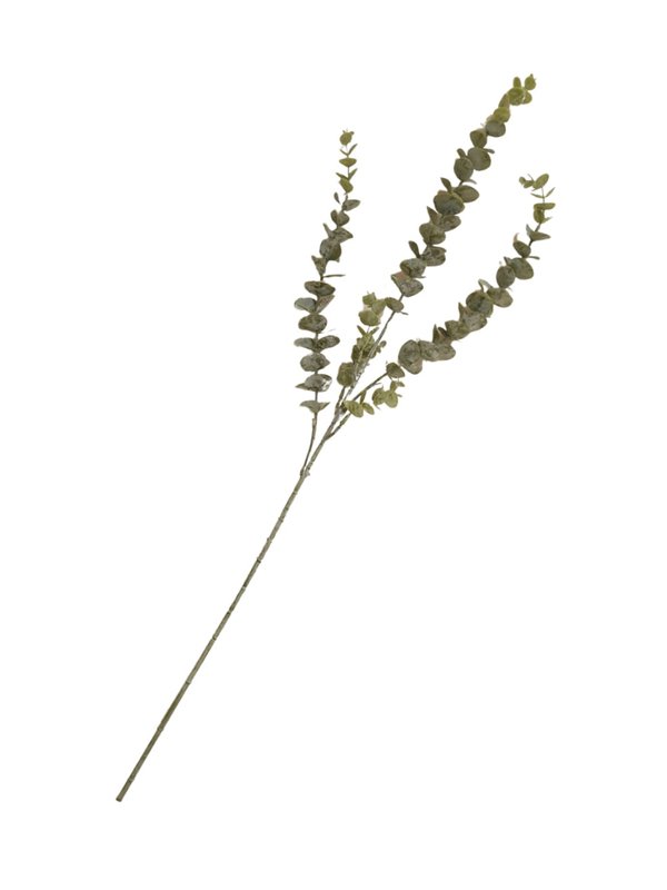 Eucalyptus (Stalk) -  Faux