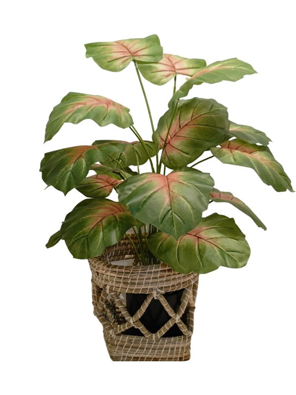 Nordic Pots "Hygge" Series - Design 8 (Medium Size)