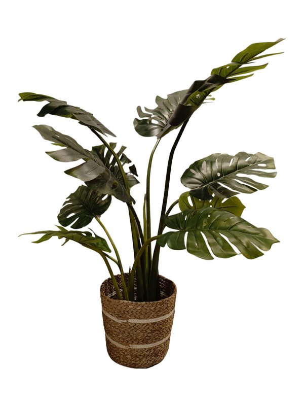 Nordic Pots "Skonvacker" Series - Design 4 (Large Size)