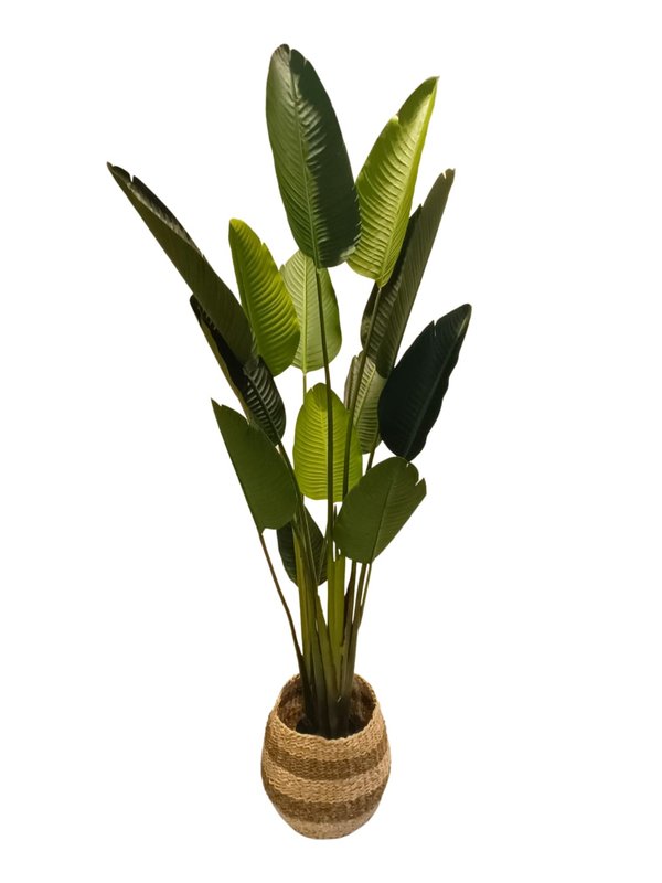 Nordic Pots "Skonvacker" Series - Design 6 (Large Size)