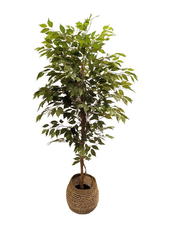 Nordic Pots "Skonvacker" Series - Design 1 (Large Size)