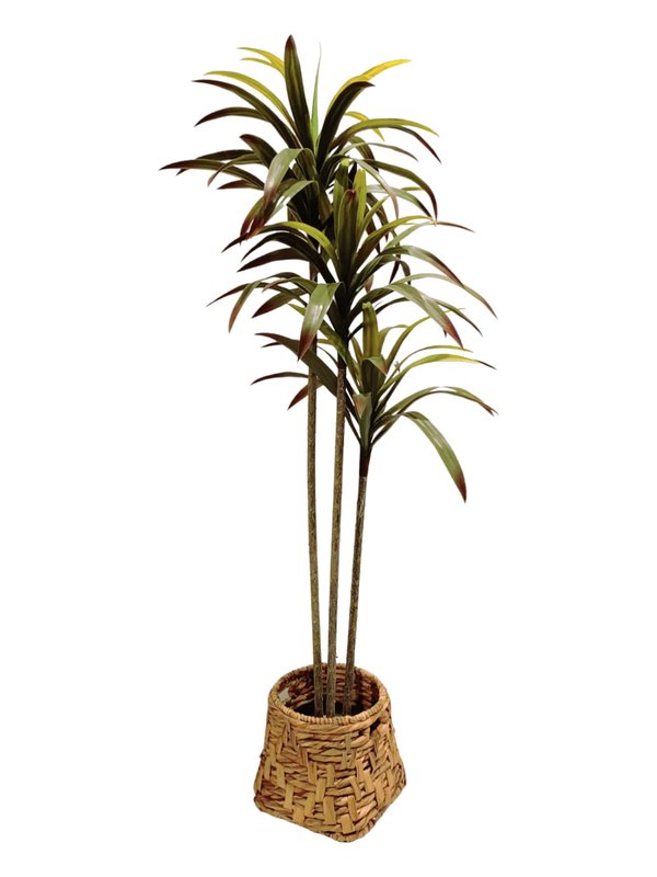 Nordic Pots "Hygge" Series - Design 6 (Medium Size)