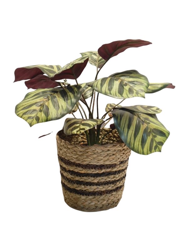 Nordic Pots "Snygg" Series - Design 6 (Small Size)