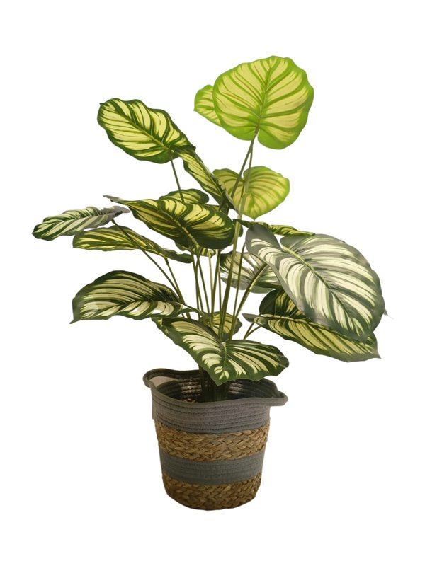 Nordic Pots "Snygg" Series - Design 5 (Small Size)