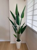 Sky Bird Plant 1.6m - Faux