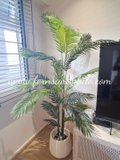 Palm Tree Plant 1.8m - Faux 