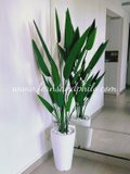 Sky Bird Plant 1.6m - Faux