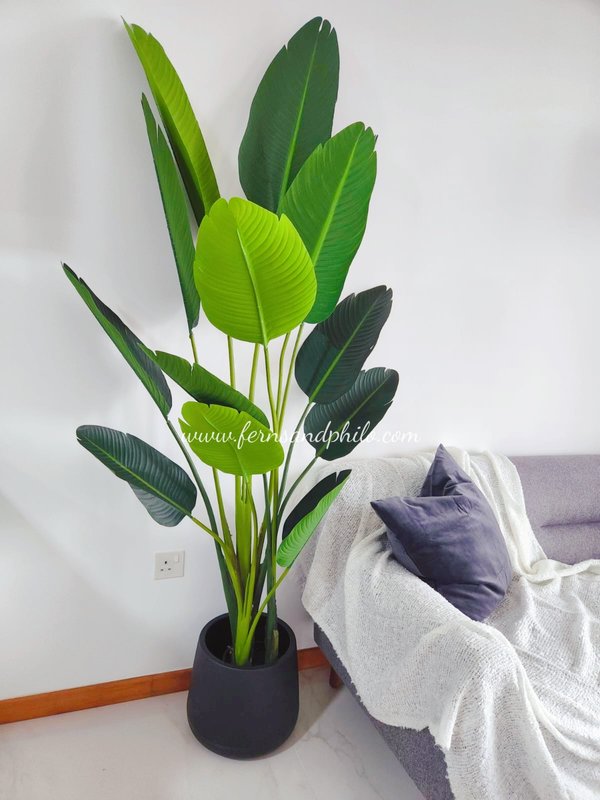 Travellers Palm Tree 1.6m - Faux