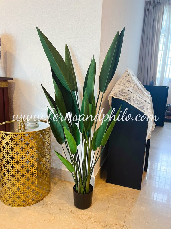 Sky Bird Plant 1.1m - Faux