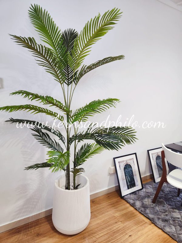 Palm Tree Plant 1.8m - Faux