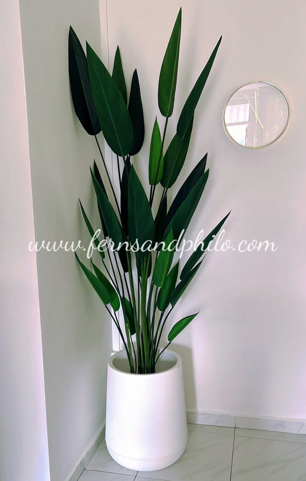 Sky Bird Plant 1.8m - Faux