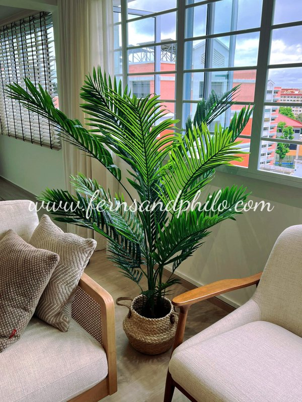 Palm Tree Plant 1.6m - Faux