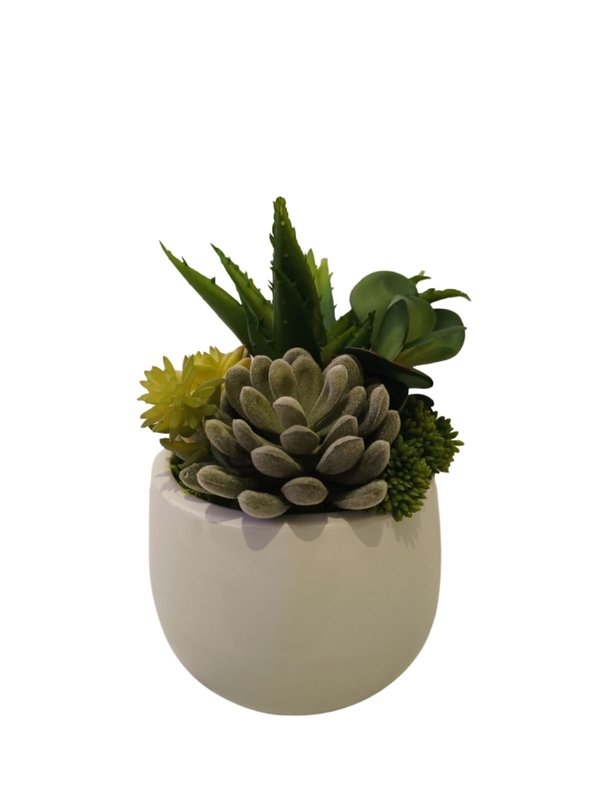 Multiple Agave Plants With White Round Pot - Table Size (Faux)