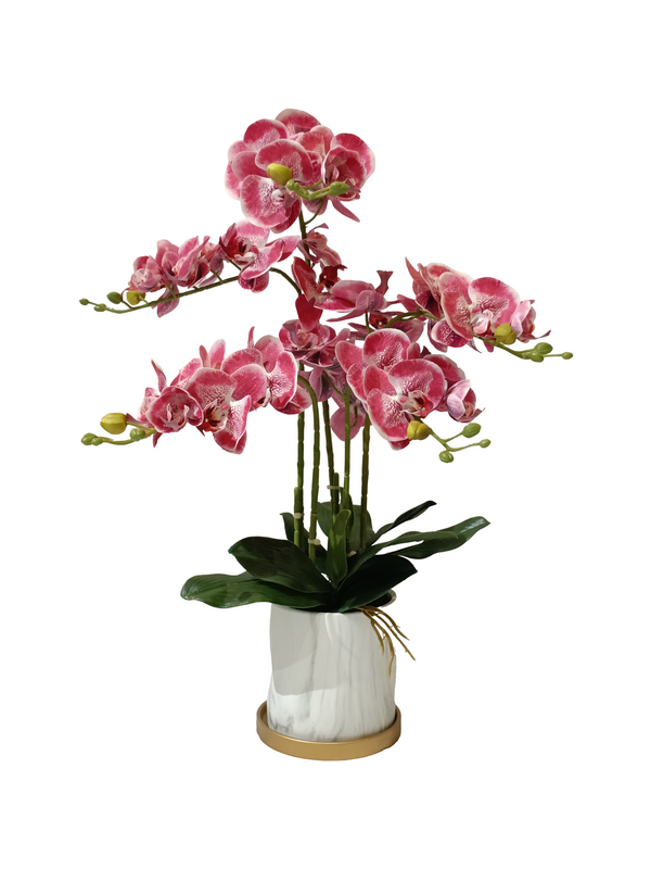 Orchid Plant (Red) - Faux