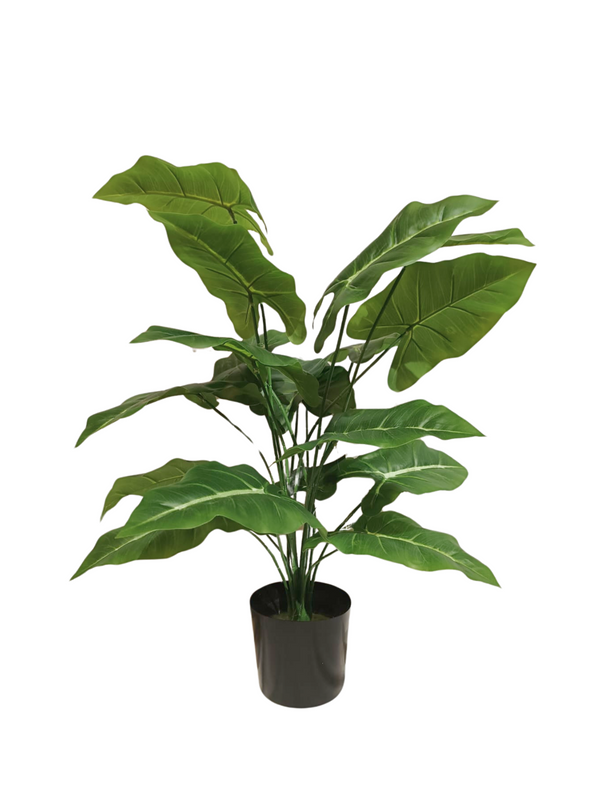 Taro Plant 0.7m - Faux