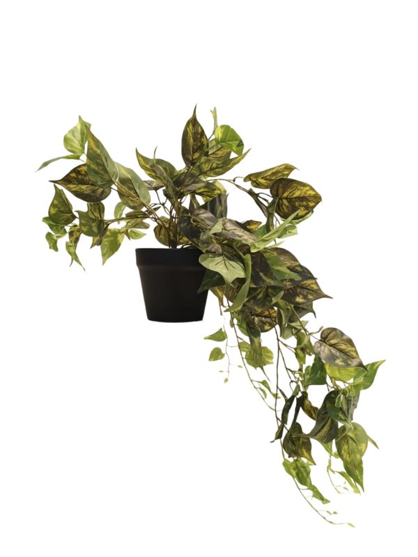 Hanging Golden Pothos Plant - Faux