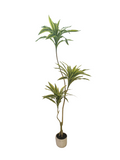 Yucca Tree 1.7m - Faux