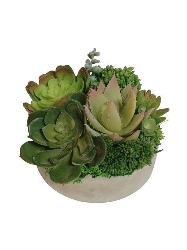 Multiple Agave Plants With Grey Pot (Green & Yellow) - Table Size (Faux)