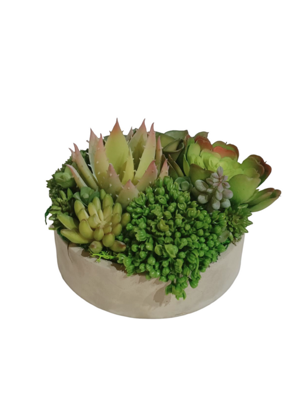 Multiple Agave Plants With Grey Pot (Green & Yellow) - Table Size (Faux)