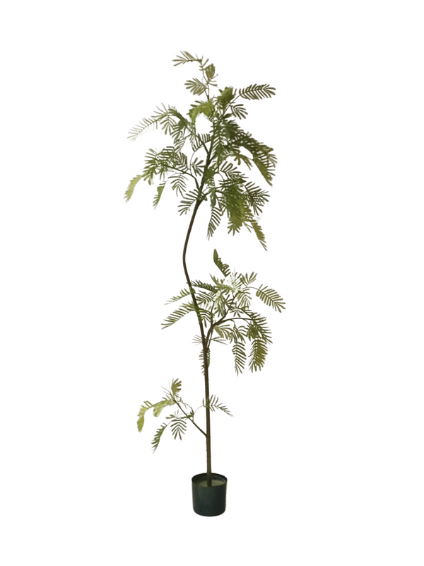 Yopo Leaf Plant 2m - Faux