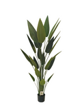 Sky Bird Plant 1.8m - Faux 