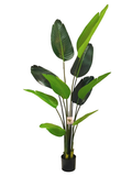 Travellers Palm Tree 1.6m - Faux