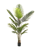Palm Tree Plant 1.8m - Faux 