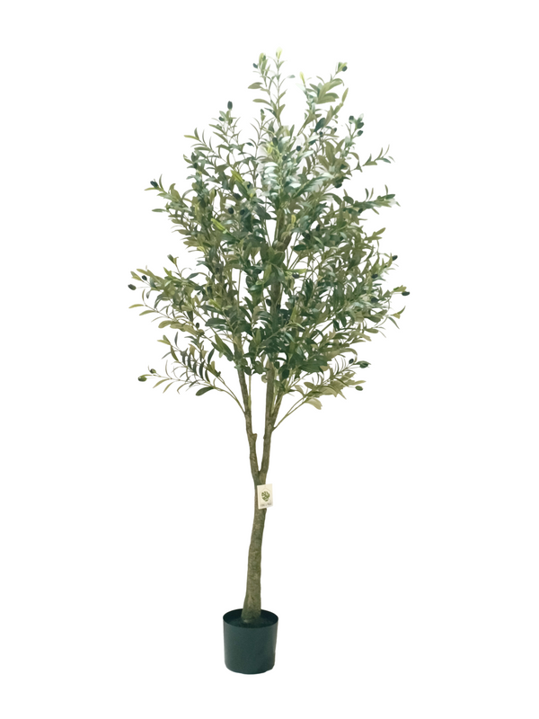 Olive Plant Tree 1.8m - Faux