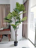 Yucca Tree 1.7m - Faux