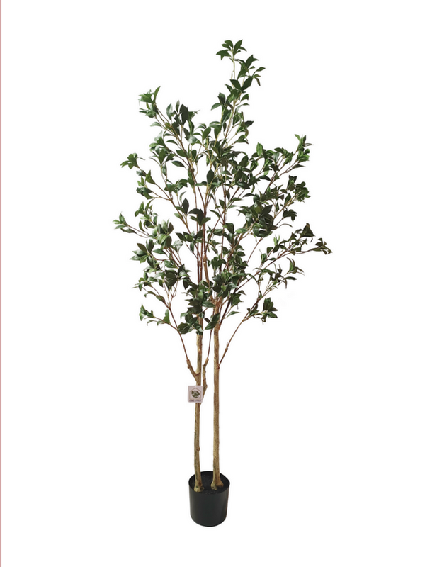 Laurus Nobilis Leaf Tree 1.8m - Faux