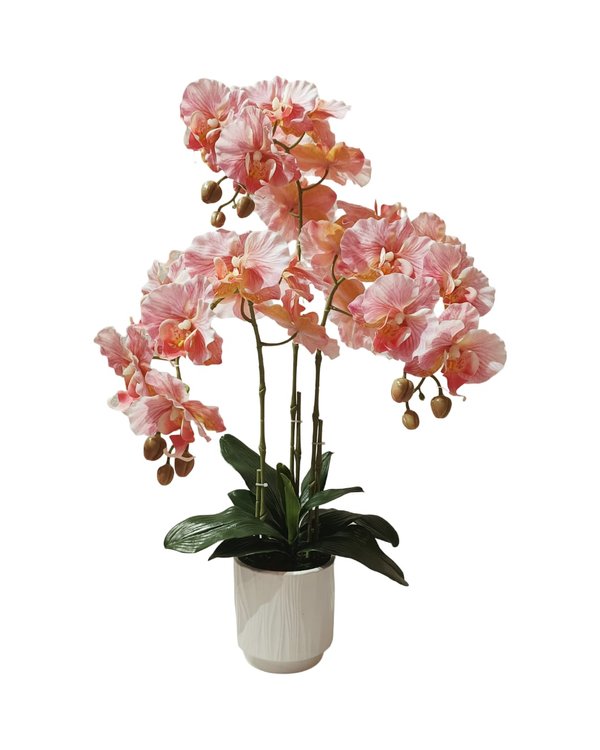 Orchid Plant Pink With White Pot - Faux