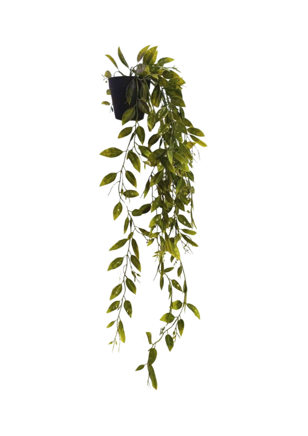 Hanging Marble Pothos Plant - Faux