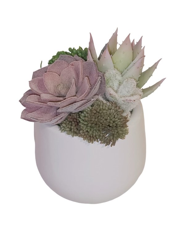 Multiple Agave Plants With White Round Pot (Purple) - Table Size (Faux)