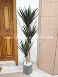 Yucca Tree 1.7m - Faux