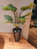 Monstera Plant 1.2m - Faux