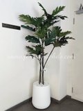 Yucca Tree 1.7m - Faux