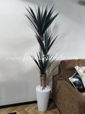 Yucca Tree 1.7m - Faux