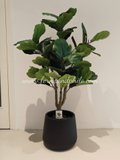 1.2m Ficus Plant - Faux