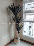 Yucca Tree 1.7m - Faux