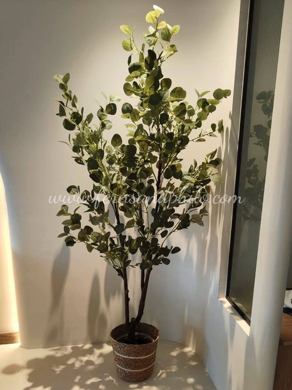 Eucalyptus Plant 1.8m - Faux