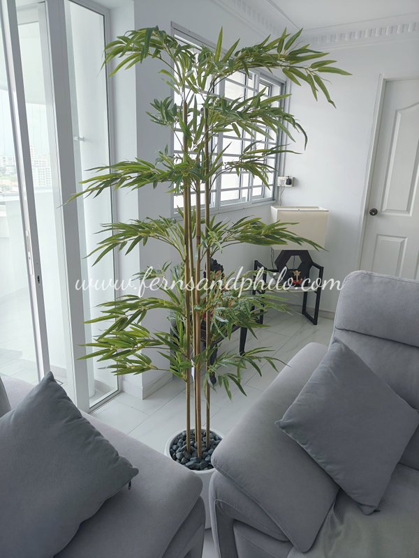 Japanese Bamboo Plant 2m - Faux