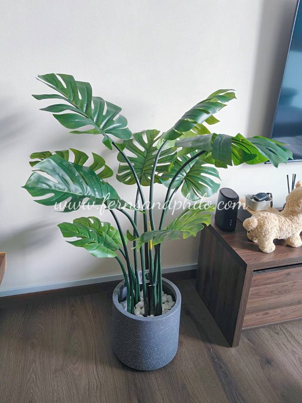 Monstera Plant 113cm - Faux