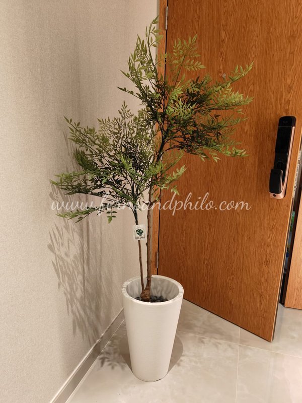 "Lucky" Sacred Bamboo 1.2m - Faux