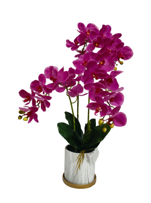 Orchid Plant (Purple) - Faux