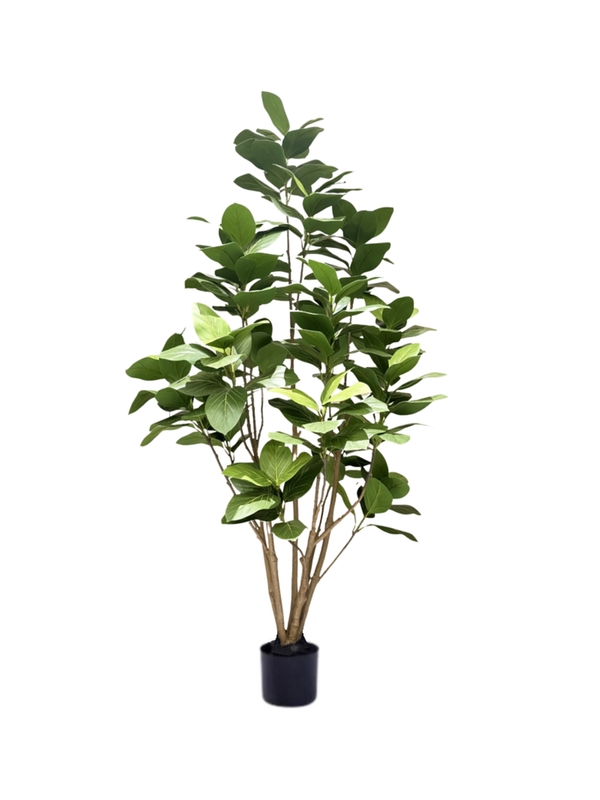 Audrey Ficus Tree 1.8m - Faux