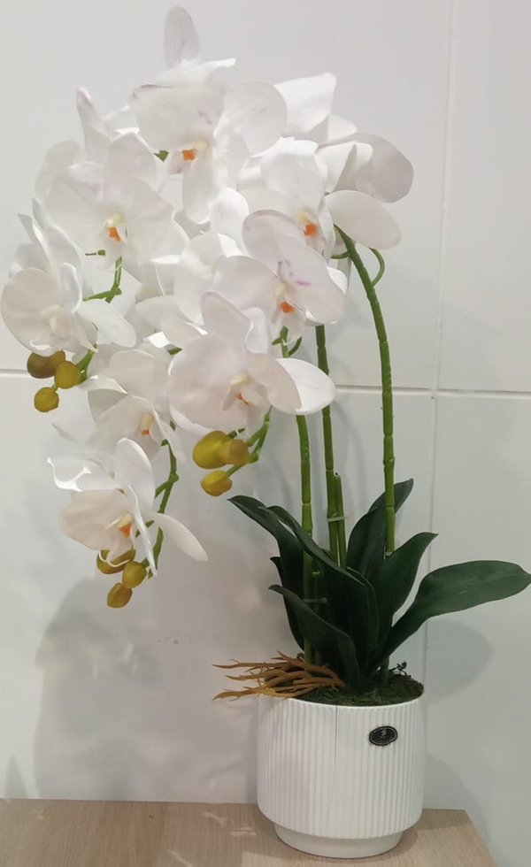 Orchid Plant White With White Pot - Faux