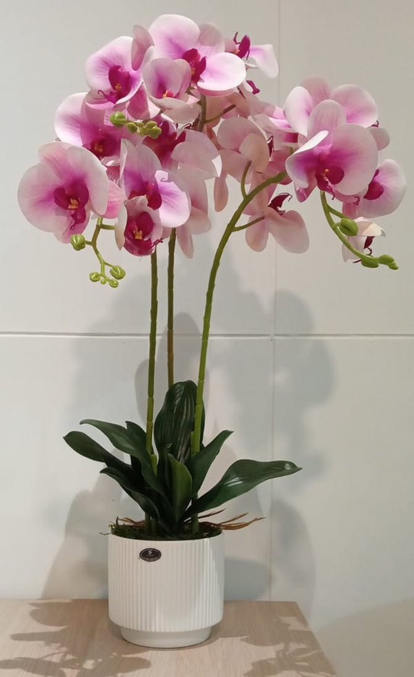 Orchid Plant (White / Purple) - Faux
