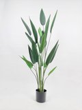 Sky Bird Plant 1.6m - Faux